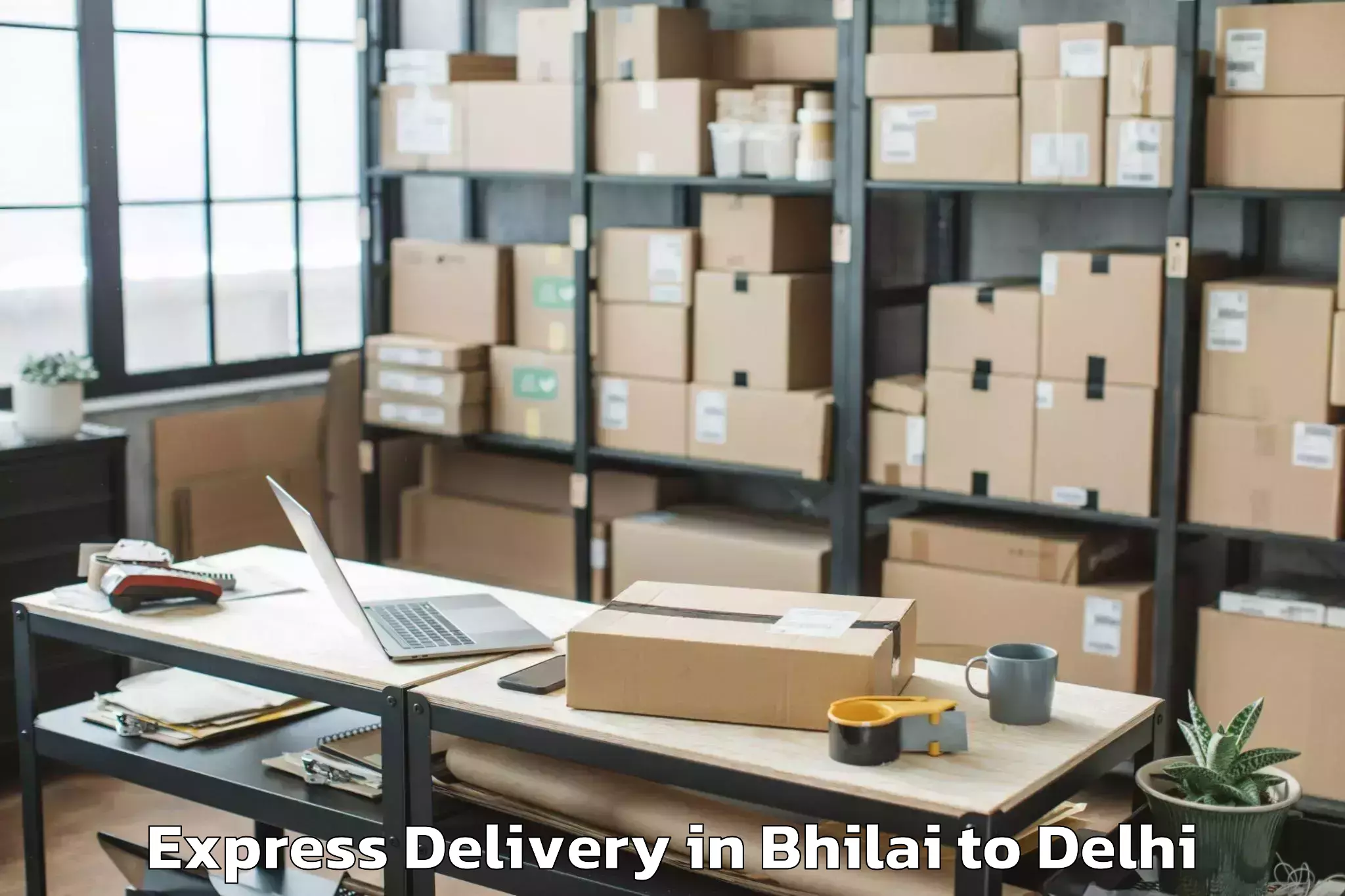 Top Bhilai to Unity One Janakpuri Mall Express Delivery Available